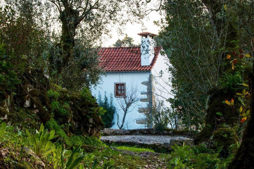 Casa do Vale do Papo Pombal (Leiria) Exterior foto